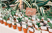 10 Fun And Eco-Friendly Wedding Favors Ideas For A Sustainable Celebration