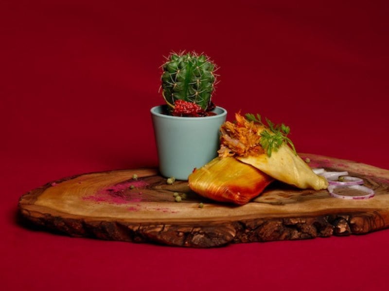 Arrangement of delicious tamales