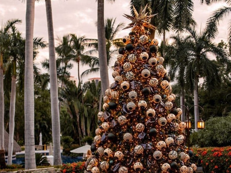 A christmas tree with lights and ornaments