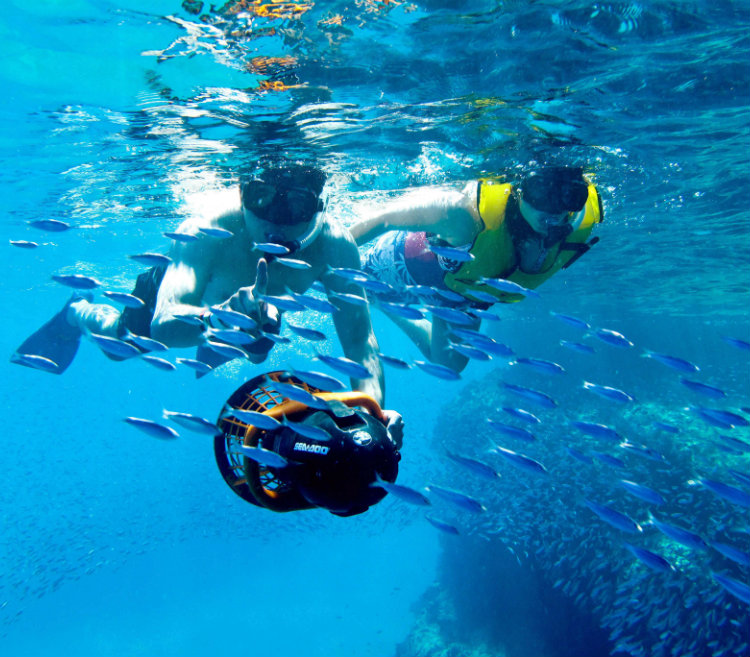 Snorkeling in Los Cabos - Grand Velas