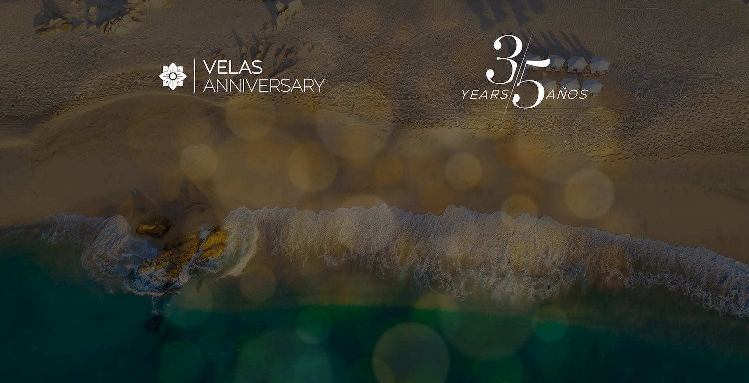 We are commemorating the enduring vision of our founder.